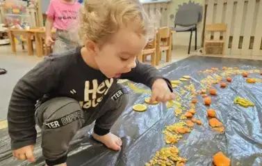 WhatsApp Image 2025-11-03 at 10.37.26 (1)