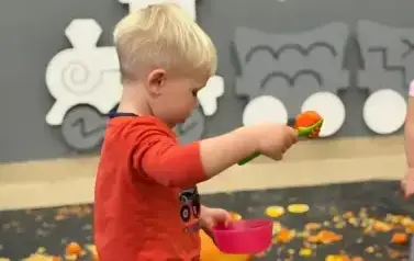 WhatsApp Image 2025-11-03 at 11.41.25