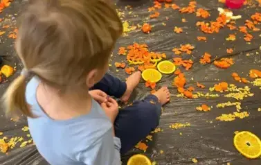 WhatsApp Image 2025-11-03 at 11.41.25 (7)