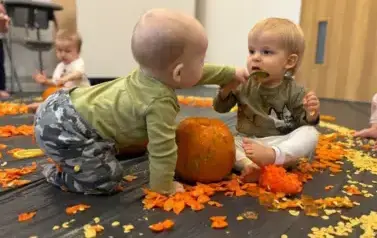 WhatsApp Image 2025-11-03 at 11.41.24