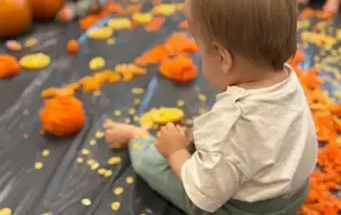 WhatsApp Image 2025-11-03 at 11.41.24 (6)