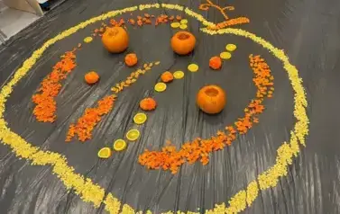 WhatsApp Image 2025-11-03 at 11.41.22