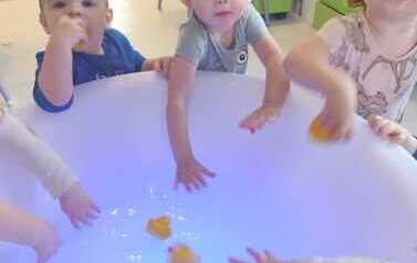 WhatsApp Image 2026-02-03 at 10.50.26