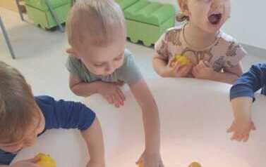 WhatsApp Image 2026-02-03 at 10.50.26 (5)