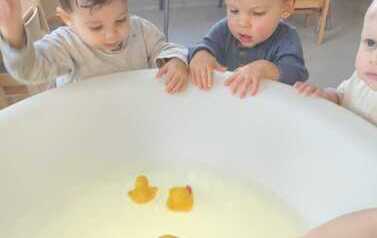 WhatsApp Image 2026-02-03 at 10.50.25 (4)