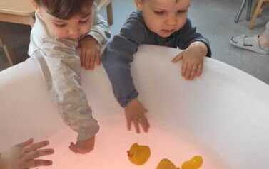 WhatsApp Image 2026-02-03 at 10.50.25 (3)