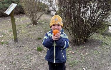 IMG_2273.jpeg