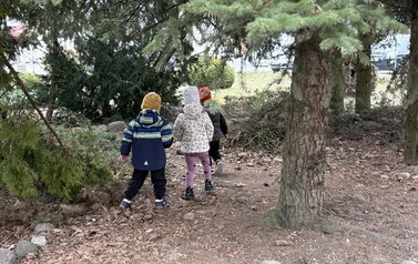 IMG_2275.jpeg