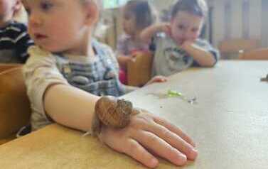 WhatsApp Image 2026-05-21 at 11.52.40.jpeg