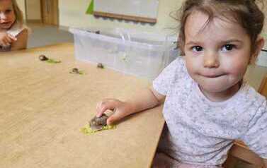 WhatsApp Image 2026-05-21 at 11.52.40 (4).jpeg