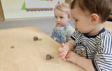 WhatsApp Image 2026-05-21 at 11.52.38 (4).jpeg