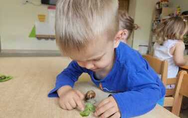 WhatsApp Image 2026-05-21 at 11.52.36 (2).jpeg