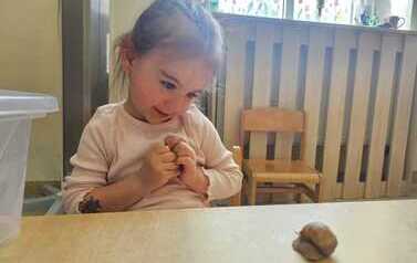 WhatsApp Image 2026-05-21 at 11.52.33 (3).jpeg