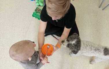 WhatsApp Image 2026-10-16 at 12.08.43 (3).jpeg