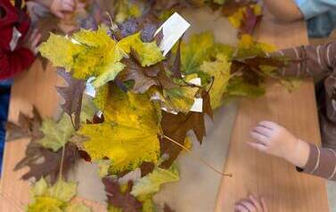 WhatsApp Image 2026-10-26 at 13.30.58 (12).jpeg
