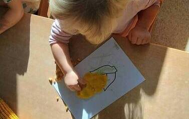 WhatsApp Image 2026-10-27 at 11.35.27 (3).jpeg
