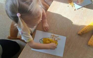 WhatsApp Image 2026-10-27 at 11.35.27 (2).jpeg