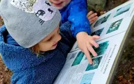 Galeria aktualności W poszukiwaniu jesieni 73 1