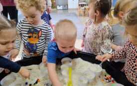 WhatsApp Image 2026-01-21 at 11.19.28 (4)