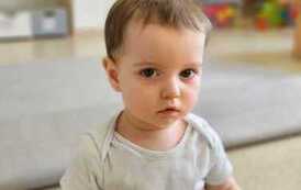 WhatsApp Image 2026-03-23 at 11.30.43