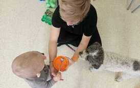 WhatsApp Image 2026-10-16 at 12.08.43 (3).jpeg