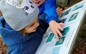 Galeria aktualności W poszukiwaniu jesieni 73 1